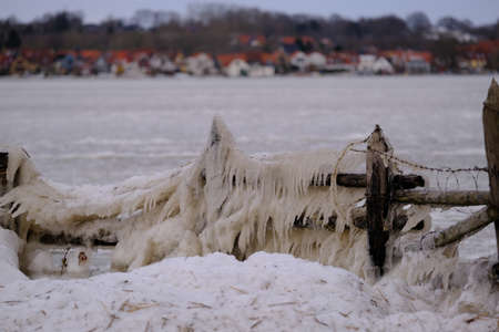 Icicles on the bank of a lakeの写真素材