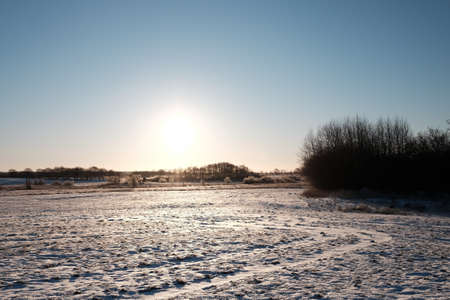 Snowy meadow landscape in the morning sunの写真素材