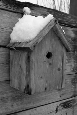 Black and white - a nest box is waiting for a breeding birdの写真素材