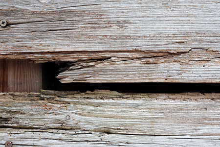 Old rotten wooden boards as a garden fenceの写真素材