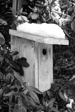 Black and white nest box in winterの写真素材