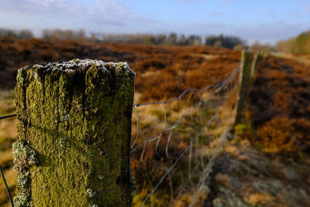Old wooden posts hold a protective fenceの写真素材