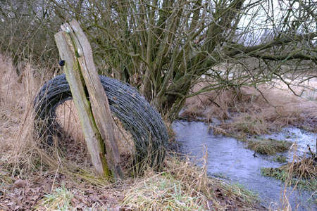 A roll of barbed wire was carelessly laid in natureの写真素材