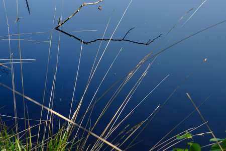 Reflections on the shore of a lakeの写真素材