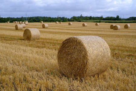 Straw bales on the stubble fieldの写真素材