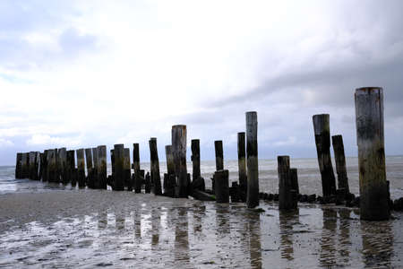Remains of an old pier on the coastの写真素材