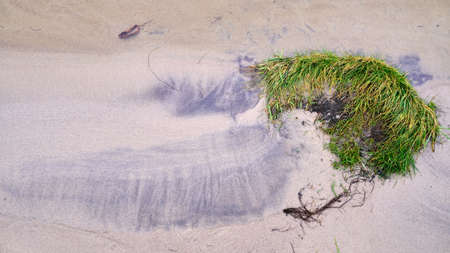 Natural beach with sodの写真素材