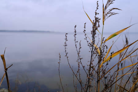 Autumn mood on the bank of a lakeの写真素材