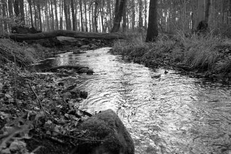 Black and white A stream is led through a pipeの写真素材