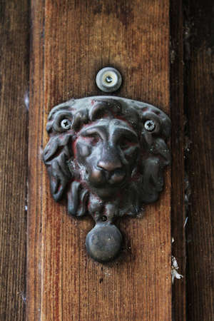 an old metal lion door knocker on an unpainted brown wooden door