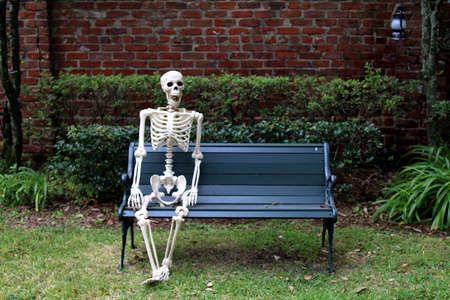 This friendly Halloween skeleton has left room on the bench for companyの写真素材