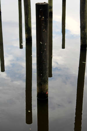 This old wooden pier post is surrounded by the reflection of the other posts around it.