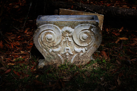 antique cement relief carving has a subliminal face in its centerの写真素材