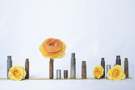 Row of Empty Rusty Bullet Casings or Shells Hold Yellow Roses and Ranunculusの写真素材