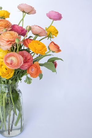 Bouquet of Pink Yellow Orange Peach Spring Flowers on White Backgroundの写真素材