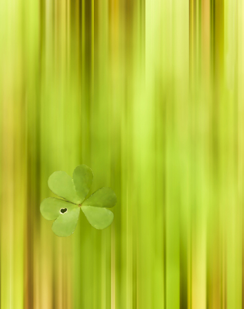 Abstract Blur of clover Field with One Highlighted Clover with Heart in Leaf