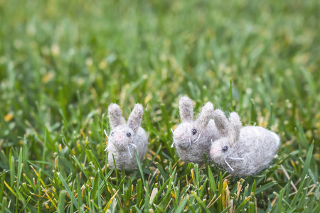 Three small Wool Felted White Gray Rabbits on Green Grass Yardの写真素材