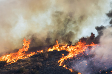 Bright Orange Flames and Black Smoke on Burning Hillside During California Fire