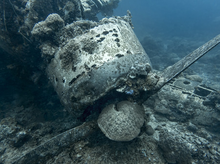 Jake seaplane wreck engine and propeller sit on ocean floor in Palau.