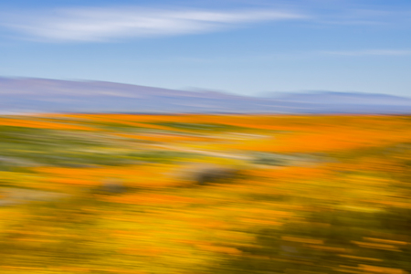 Vibrant colors of a desert landscape blooming with wildflowers with hills and blue sky.  Conceptual image using motion blur for study of color.の写真素材