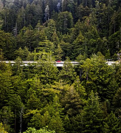 Single red car passes through forest of pine trees on California Highway 1