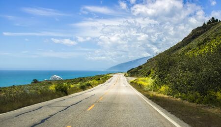 Highway along coast with spring flowers and ocean along edge on California Highway 1