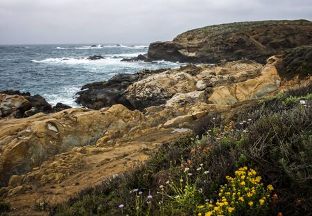 California seascape with spring flowers and layered rock formations.