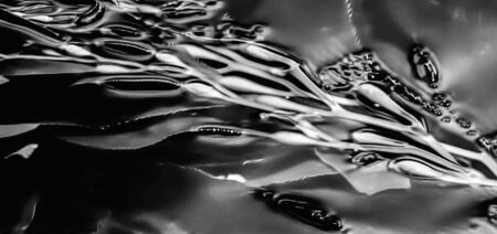 Abstact black and white background of kelp close up on surface of water with lines and shapes.