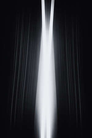 Single wild rabbit sits on dirt trail surrounded by yellow wildflowers and trees in southern California.の写真素材