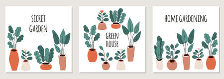 Cute set of home gardening frame backgrounds, trendy hand drawn plants in pots in simple flat style as secret garden, urban jungle or greenhouseのイラスト素材