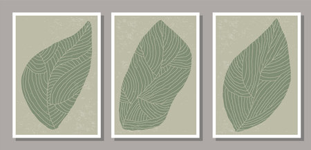 Set of minimalist botanical composition with leaves abstract collageのイラスト素材
