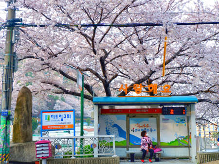 On the way to love.の写真素材