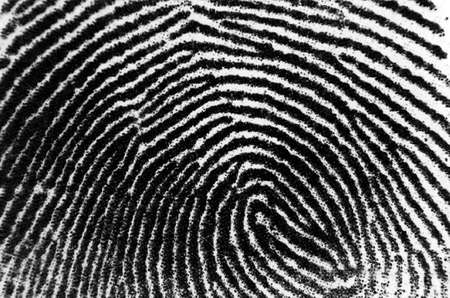 thumbprint or animal printの写真素材