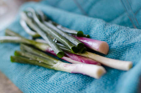 preparing vegetable soupの写真素材