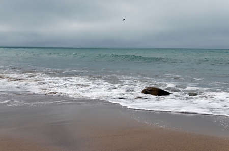 lonely beach landscape