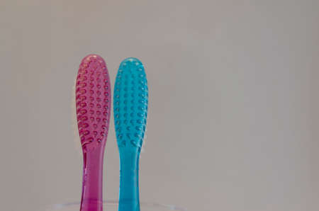 toothbrushes in bowl, family, couple