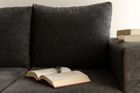 books on the sofa. armchair glasses
