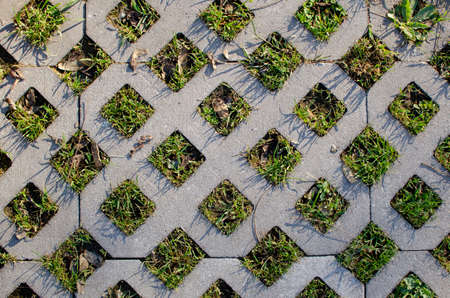 Grid block on the grassの写真素材