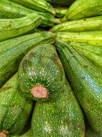 lot of zucchini for sale.の写真素材