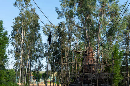 Orlando, Florida, USA, May 9, 2021: Disney Animal Kingdom, People enjoing the day.のeditorial素材