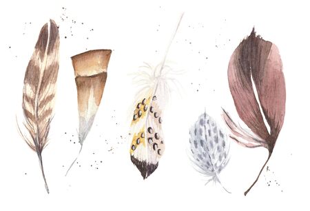Hand drawn watercolor paintings vibrant feather set. Boho style wings. illustration isolated on white background. Feathers design for T-shirt, invitation, wedding card. Rustic Bright colors.の写真素材