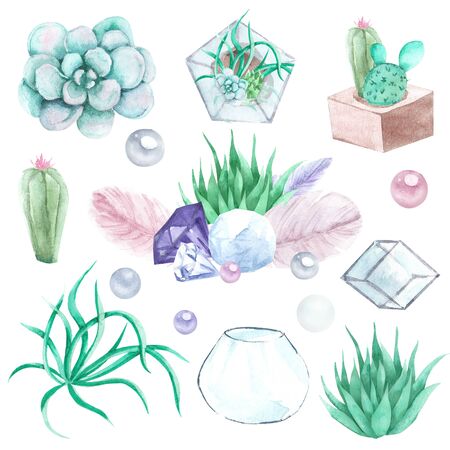 Hand drawn watercolor succulents, plant terrarium, feathers and crystals illustration, gemstone set isolatedの写真素材