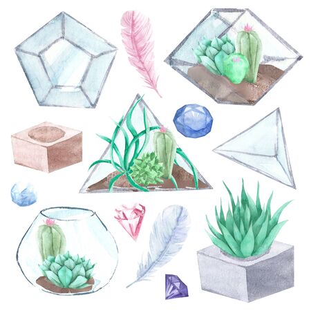 Hand drawn watercolor succulents, plant terrarium, feathers and crystals illustration, gemstone set on white backgroundの写真素材