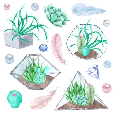 Hand drawn watercolor succulents, plant terrarium, feathers and crystals illustration, gemstone set on white backgroundの写真素材