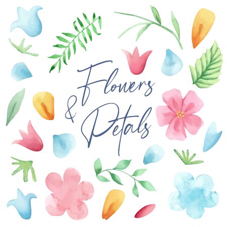 Hand drawn watercolor flowers and petals collection. Watercolor flowers, petals and leavesの写真素材
