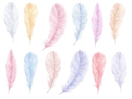 Hand drawn watercolor vibrant feathers set. Boho style wings feathers, illustration isolated on white backgroundの写真素材
