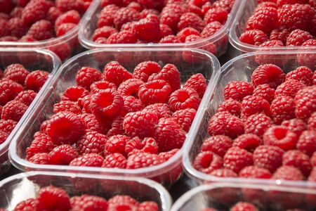 Red raspberry in plastic tray