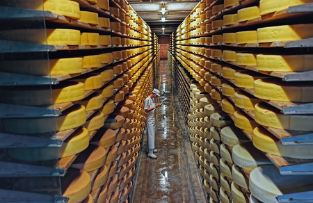 GRUYERE, SWITZERLAND - DECEMBER 31, 2014: Row upon row of cheese left to mature in a cellar of...