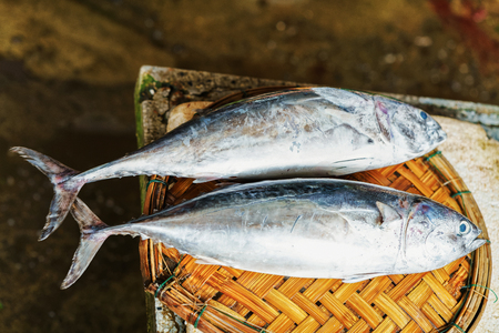 Selling Fresh fish in the street market in Hoi An, Vietnam.