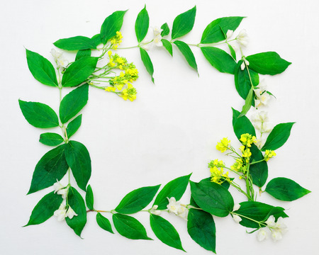 Wreath of jasmine flowers and leaves and yellow field flowers on white background. Flat lay.の写真素材